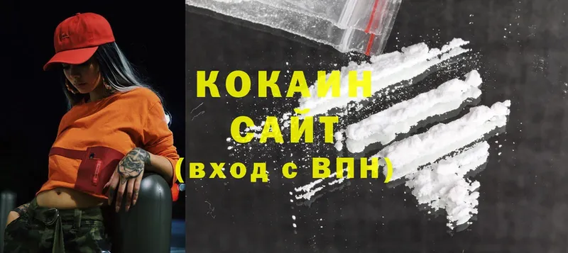 где можно купить   Каменногорск  COCAIN Fish Scale 